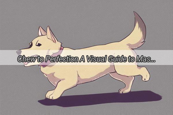 Chew to Perfection A Visual Guide to Mastering the Art of Dog Dental Treats